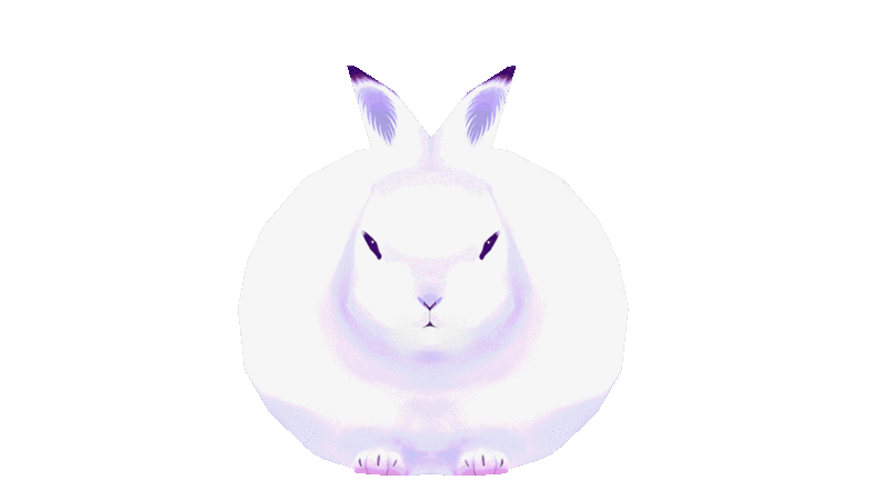 spinning bunny gif